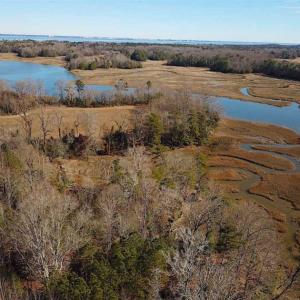 Photo of 47 Acres on Deep Water Tidal Waters in Isle of Wight County Virginia!