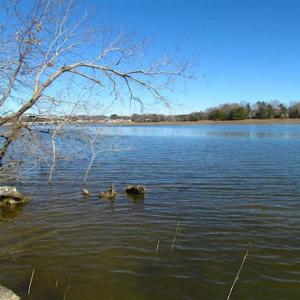 Photo of 47 Acres on Deep Water Tidal Waters in Isle of Wight County Virginia!