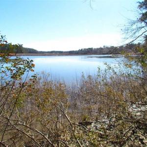 Photo of 47 Acres on Deep Water Tidal Waters in Isle of Wight County Virginia!
