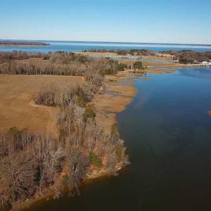 Photo of 47 Acres on Deep Water Tidal Waters in Isle of Wight County Virginia!