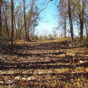 Photo of 47 Acres on Deep Water Tidal Waters in Isle of Wight County Virginia!