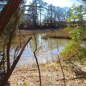 Photo of 47 Acres on Deep Water Tidal Waters in Isle of Wight County Virginia!
