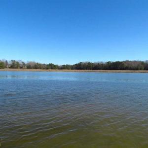 Photo of 47 Acres on Deep Water Tidal Waters in Isle of Wight County Virginia!