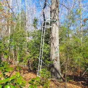 Photo of 47 Acres on Deep Water Tidal Waters in Isle of Wight County Virginia!