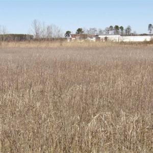 Photo of 35 acres of Hunting and Recreational Land For Sale in Isle of Wight County, VA!
