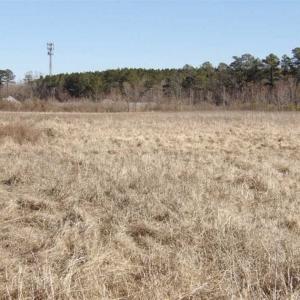 Photo of 35 acres of Hunting and Recreational Land For Sale in Isle of Wight County, VA!