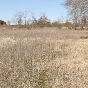 Photo of 35 acres of Hunting and Recreational Land For Sale in Isle of Wight County, VA!