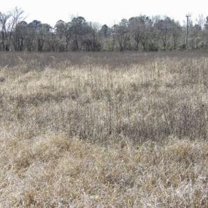 Photo of 35 acres of Hunting and Recreational Land For Sale in Isle of Wight County, VA!