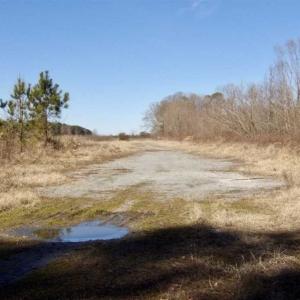 Photo of 35 acres of Hunting and Recreational Land For Sale in Isle of Wight County, VA!