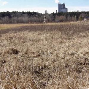 Photo of 35 acres of Hunting and Recreational Land For Sale in Isle of Wight County, VA!