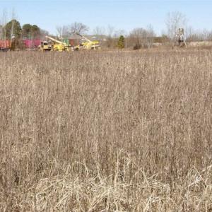 Photo of 35 acres of Hunting and Recreational Land For Sale in Isle of Wight County, VA!