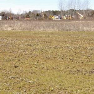 Photo of 35 acres of Hunting and Recreational Land For Sale in Isle of Wight County, VA!