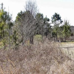 Photo of 35 acres of Hunting and Recreational Land For Sale in Isle of Wight County, VA!