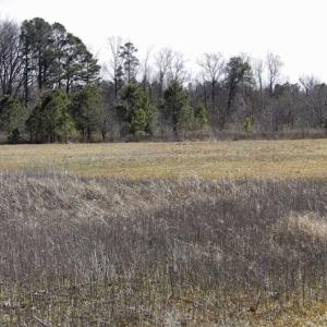 Photo of 35 acres of Hunting and Recreational Land For Sale in Isle of Wight County, VA!