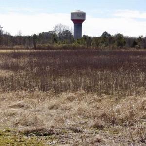 Photo of 35 acres of Hunting and Recreational Land For Sale in Isle of Wight County, VA!