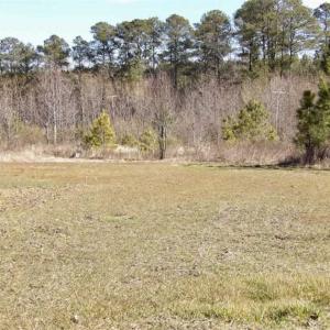Photo of 35 acres of Hunting and Recreational Land For Sale in Isle of Wight County, VA!