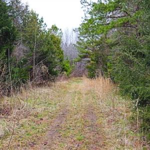 Photo of 21.87 + / - ac Timberland / Farmland for Sale in Chatham County, NC