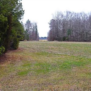 Photo of 21.87 + / - ac Timberland / Farmland for Sale in Chatham County, NC
