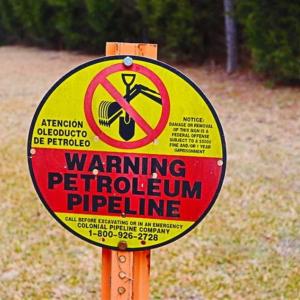 Photo of 21.87 + / - ac Timberland / Farmland for Sale in Chatham County, NC