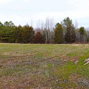 Photo of 21.87 + / - ac Timberland / Farmland for Sale in Chatham County, NC