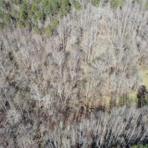 Photo of 21.87 + / - ac Timberland / Farmland for Sale in Chatham County, NC
