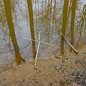 Photo of 21.87 + / - ac Timberland / Farmland for Sale in Chatham County, NC