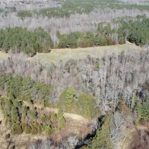 Photo of 21.87 + / - ac Timberland / Farmland for Sale in Chatham County, NC