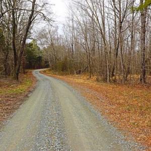 Photo of 21.87 + / - ac Timberland / Farmland for Sale in Chatham County, NC