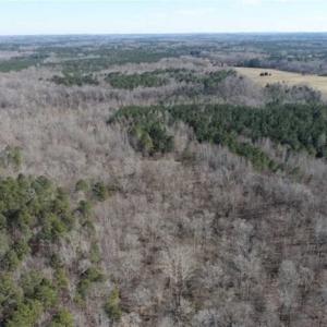 Photo of 21.87 + / - ac Timberland / Farmland for Sale in Chatham County, NC