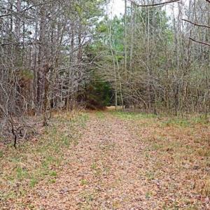 Photo of 21.87 + / - ac Timberland / Farmland for Sale in Chatham County, NC
