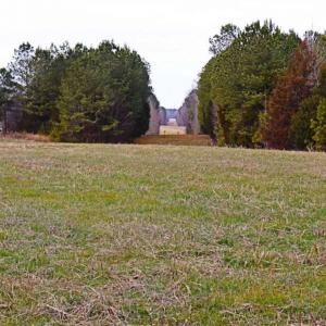Photo of 21.87 + / - ac Timberland / Farmland for Sale in Chatham County, NC