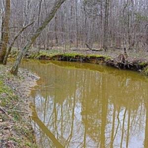 Photo of 21.87 + / - ac Timberland / Farmland for Sale in Chatham County, NC