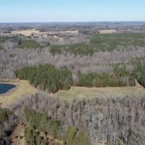 Photo of 21.87 + / - ac Timberland / Farmland for Sale in Chatham County, NC