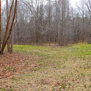 Photo of 21.87 + / - ac Timberland / Farmland for Sale in Chatham County, NC