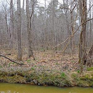Photo of 21.87 + / - ac Timberland / Farmland for Sale in Chatham County, NC