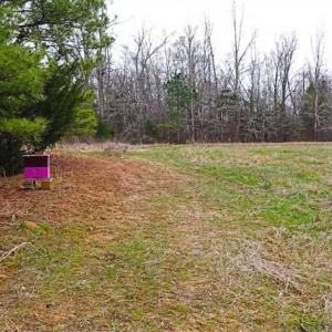 Photo of 21.87 + / - ac Timberland / Farmland for Sale in Chatham County, NC