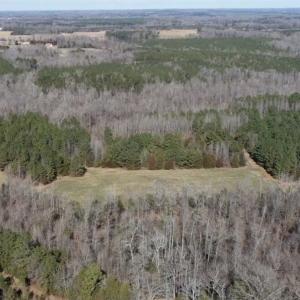 Photo of 21.87 + / - ac Timberland / Farmland for Sale in Chatham County, NC