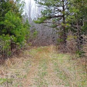 Photo of 21.87 + / - ac Timberland / Farmland for Sale in Chatham County, NC