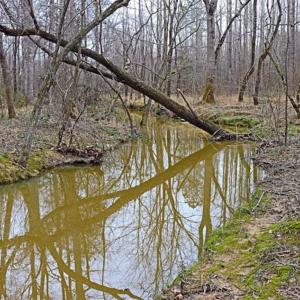 Photo of 21.87 + / - ac Timberland / Farmland for Sale in Chatham County, NC