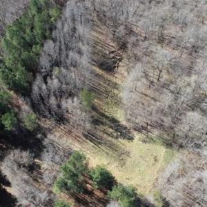 Photo of 21.87 + / - ac Timberland / Farmland for Sale in Chatham County, NC