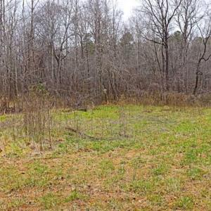 Photo of 21.87 + / - ac Timberland / Farmland for Sale in Chatham County, NC