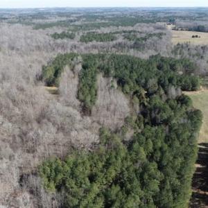 Photo of 21.87 + / - ac Timberland / Farmland for Sale in Chatham County, NC