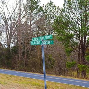 Photo of 21.87 + / - ac Timberland / Farmland for Sale in Chatham County, NC