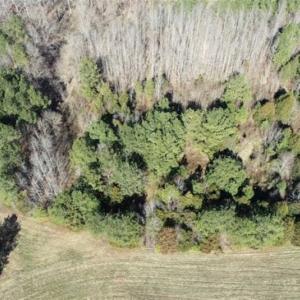 Photo of 21.87 + / - ac Timberland / Farmland for Sale in Chatham County, NC