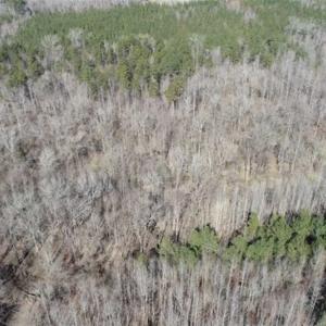 Photo of 21.87 + / - ac Timberland / Farmland for Sale in Chatham County, NC