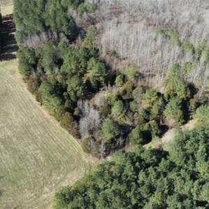 Photo of 21.87 + / - ac Timberland / Farmland for Sale in Chatham County, NC