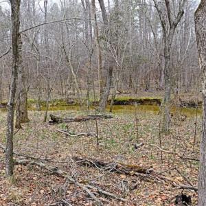 Photo of 21.87 + / - ac Timberland / Farmland for Sale in Chatham County, NC