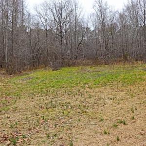 Photo of 21.87 + / - ac Timberland / Farmland for Sale in Chatham County, NC