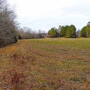 Photo of 21.87 + / - ac Timberland / Farmland for Sale in Chatham County, NC