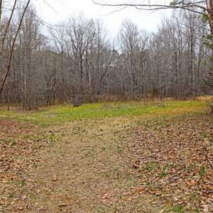Photo of 21.87 + / - ac Timberland / Farmland for Sale in Chatham County, NC